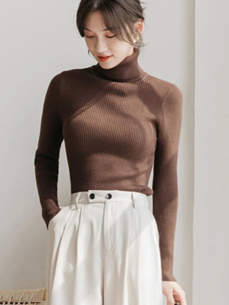 Women's Long Sleeve Slim Knitted Pullover Turtleneck Sweater
